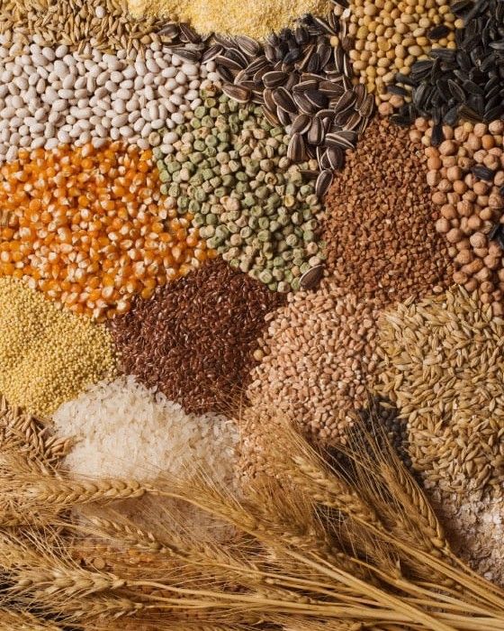 Organic Grains & Millets
